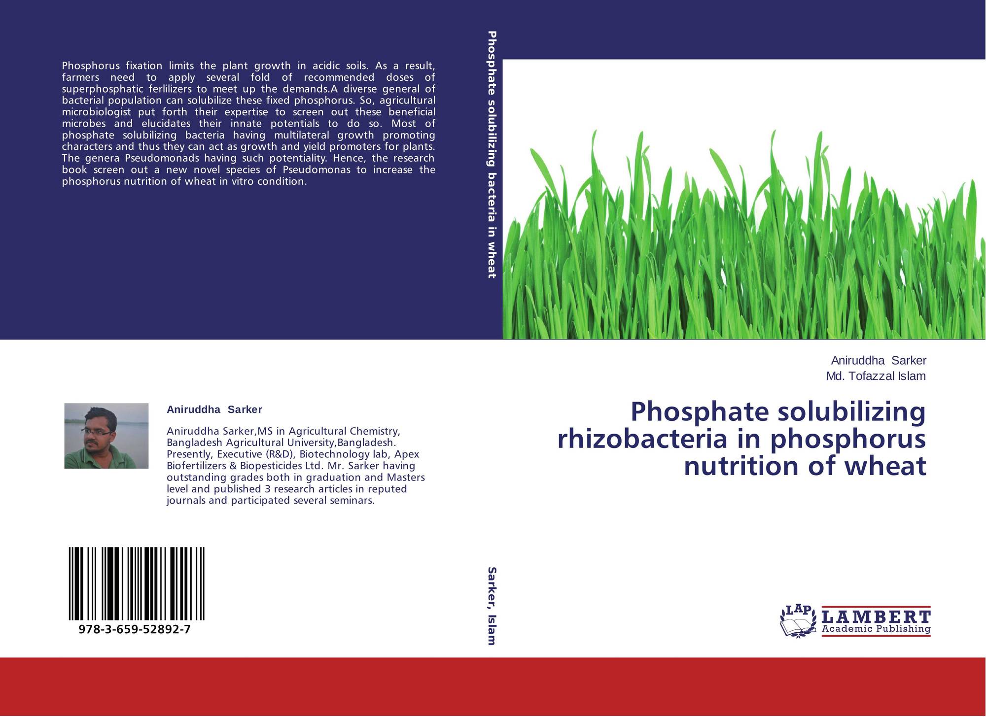 thesis on phosphate solubilizing bacteria Isolation of phosphate solubilizing bacteria from maize rhizosphere and their potential for rock phosphate solubilization–mineralization and plant growth promotion. thesis on phosphate solubilizing bacteria Isolation of phosphate solubilizing bacteria from maize rhizosphere and their potential for rock phosphate solubilization–mineralization and plant growth promotion.
