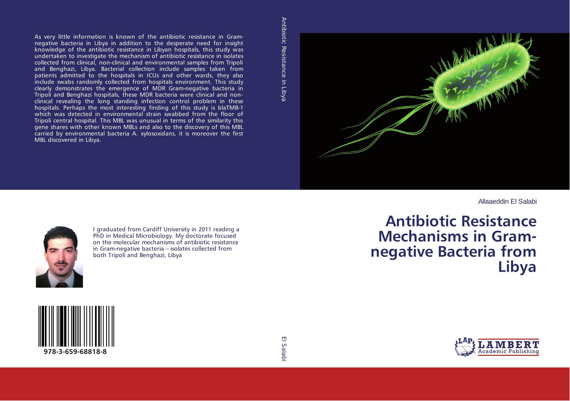 gram negative bacteria antibiotics