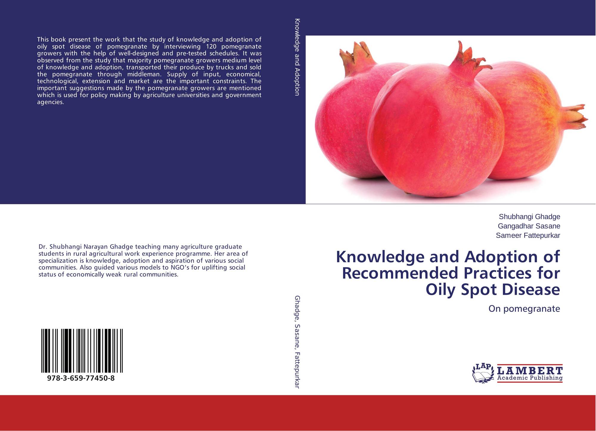 Recommended practices. Pomegranate Tech. Book and Pomegranate