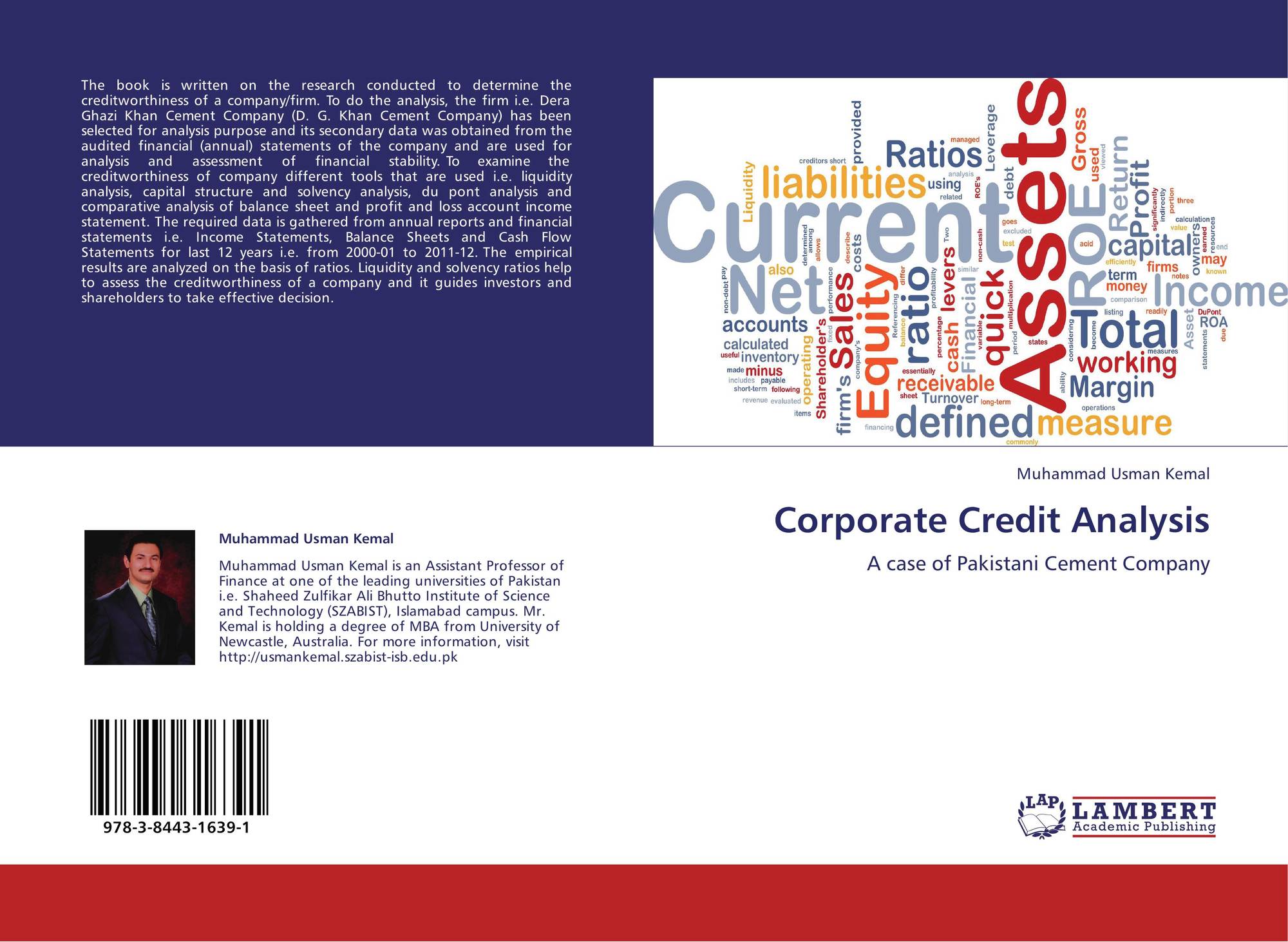 corporate credit analysis case study