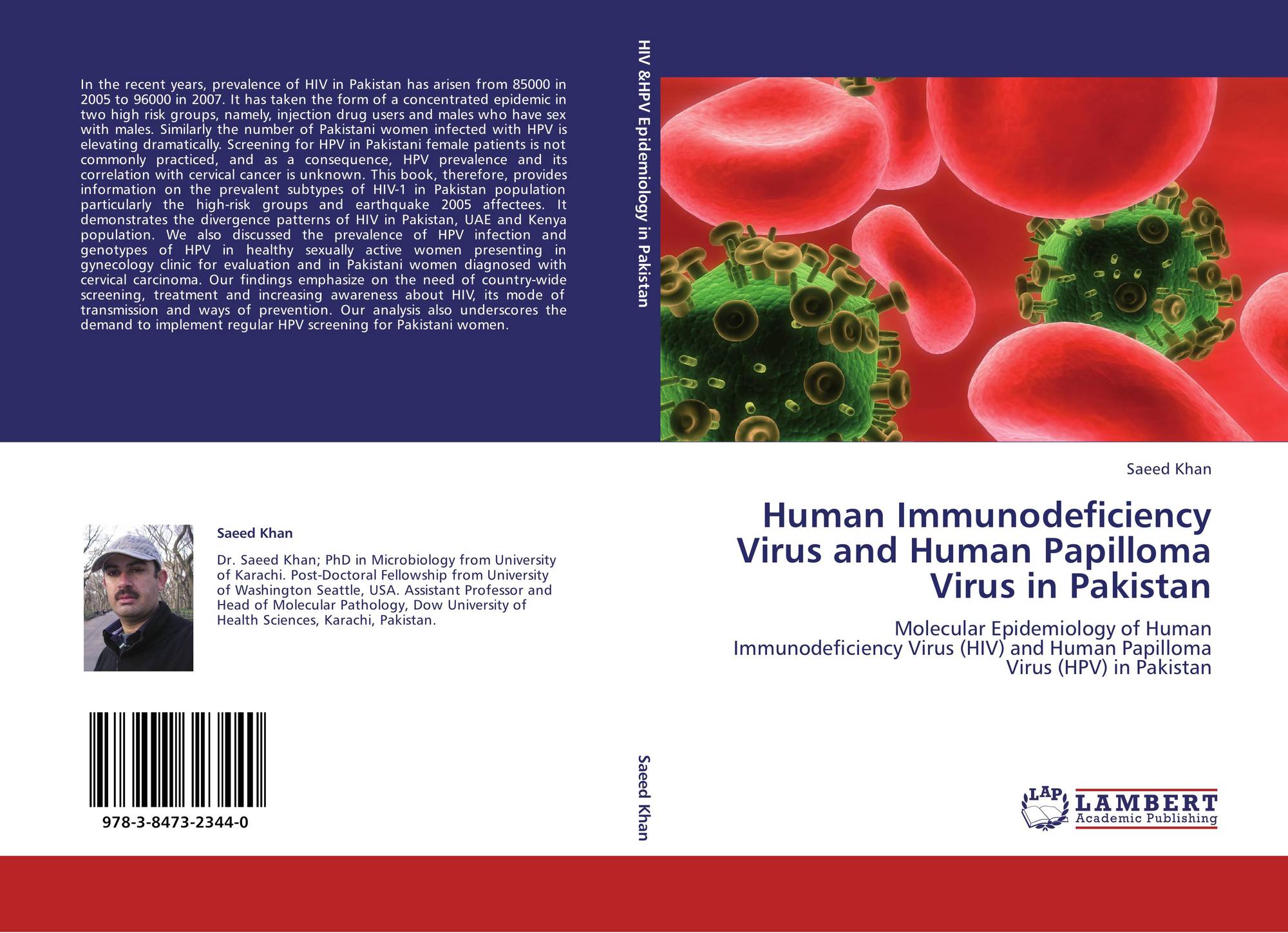 Humán papillomavírus és HIV, HPV - Human papillóma vírus