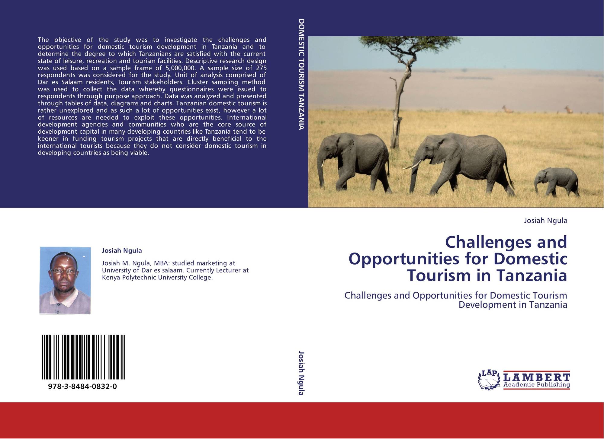 challenges of tourism in tanzania