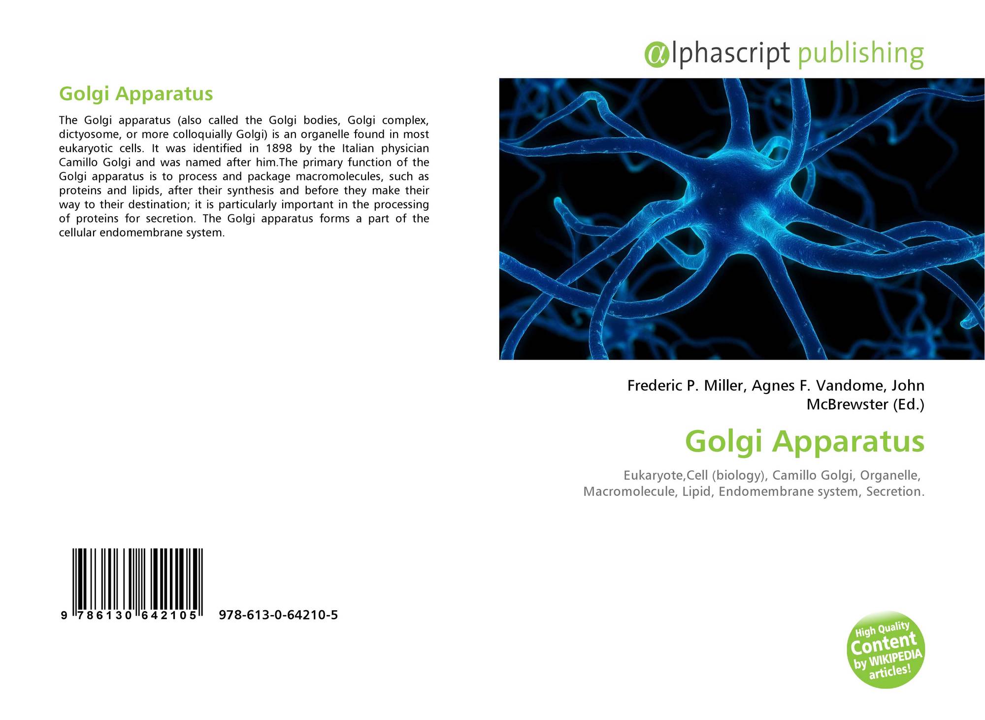 the important function of the golgi apparatus the important function of the golgi apparatus