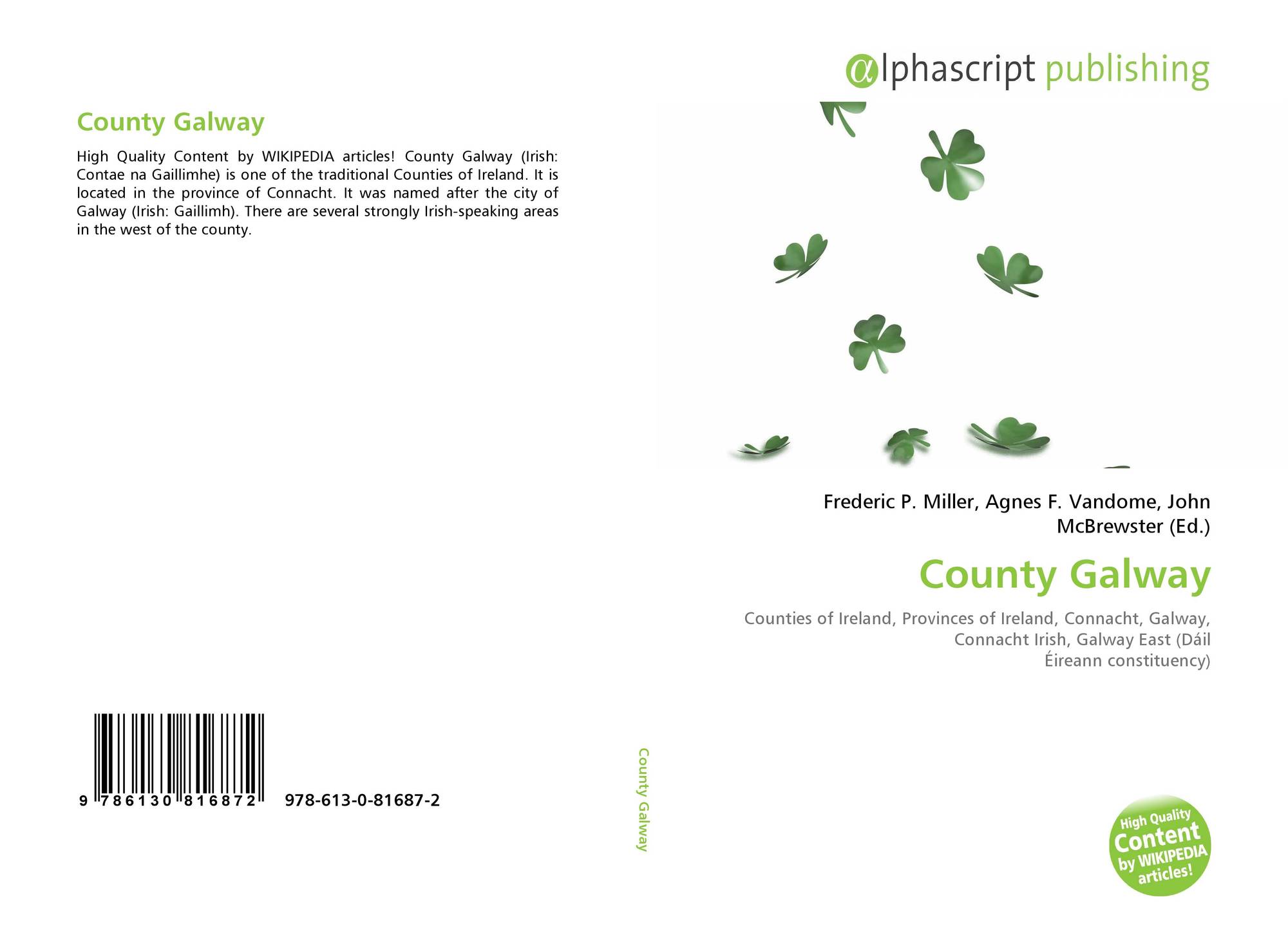 a marketing analysis of county galway a marketing analysis of county galway
