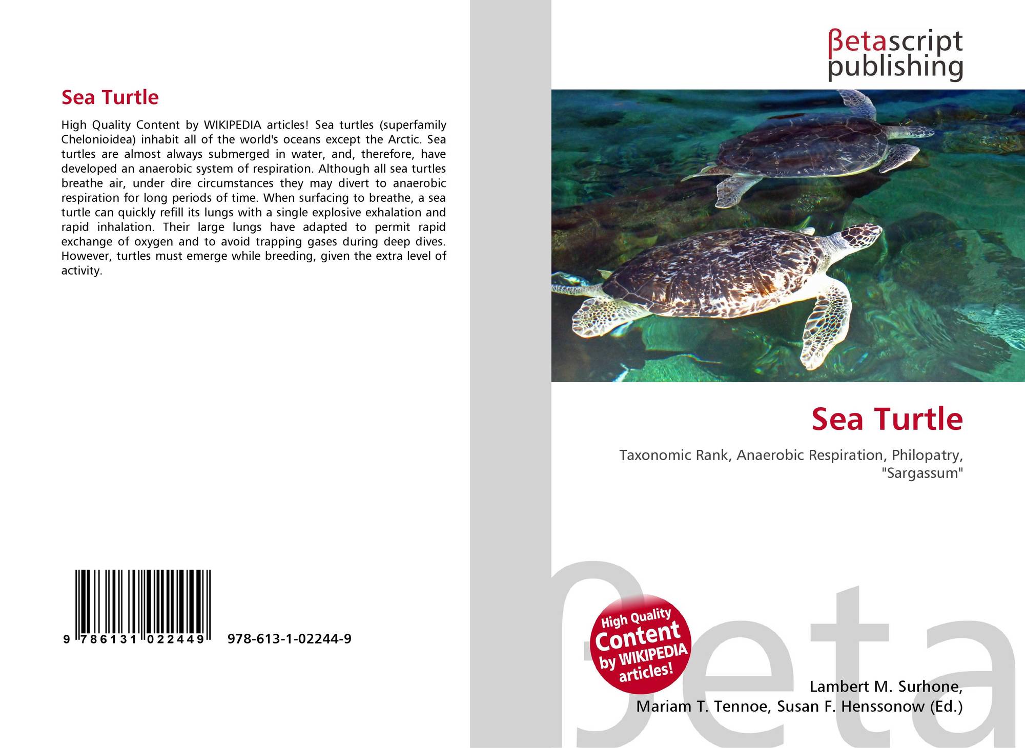 Sea Turtle 978 613 1 02244 9 6131022445 9786131022449