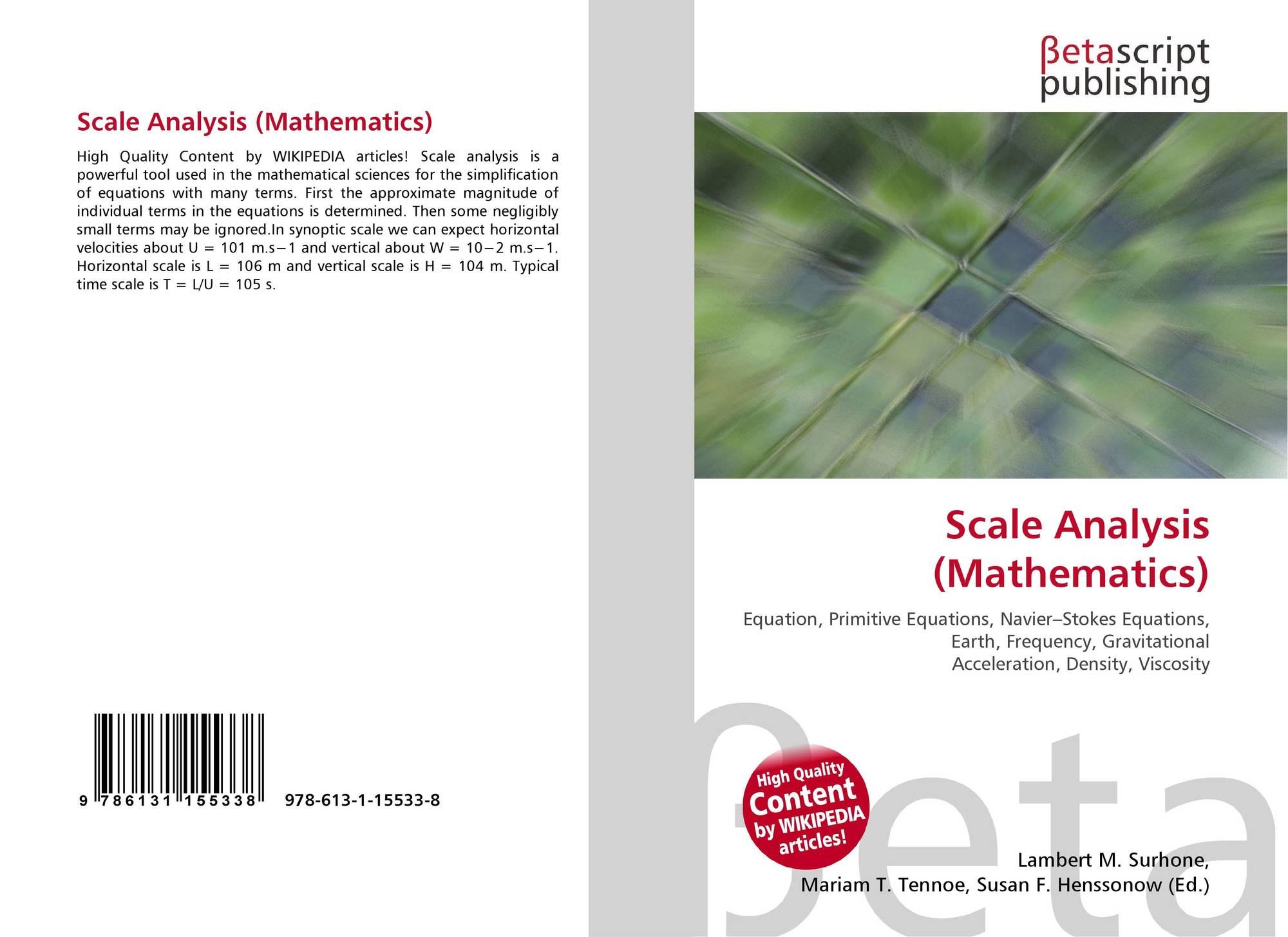 Scale Analysis (Mathematics), 9786131155338, 613115533X ,9786131155338