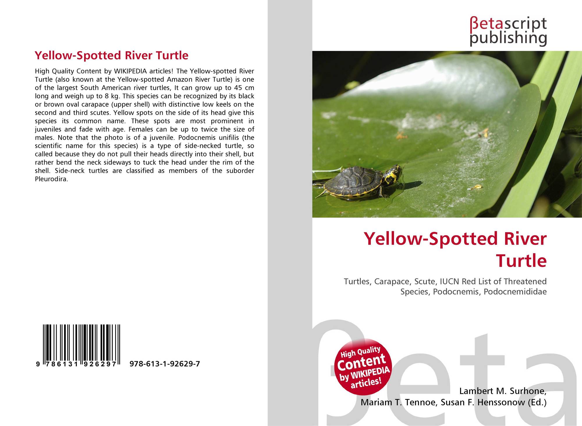 Yellow Spotted River Turtle 978 613 1 7