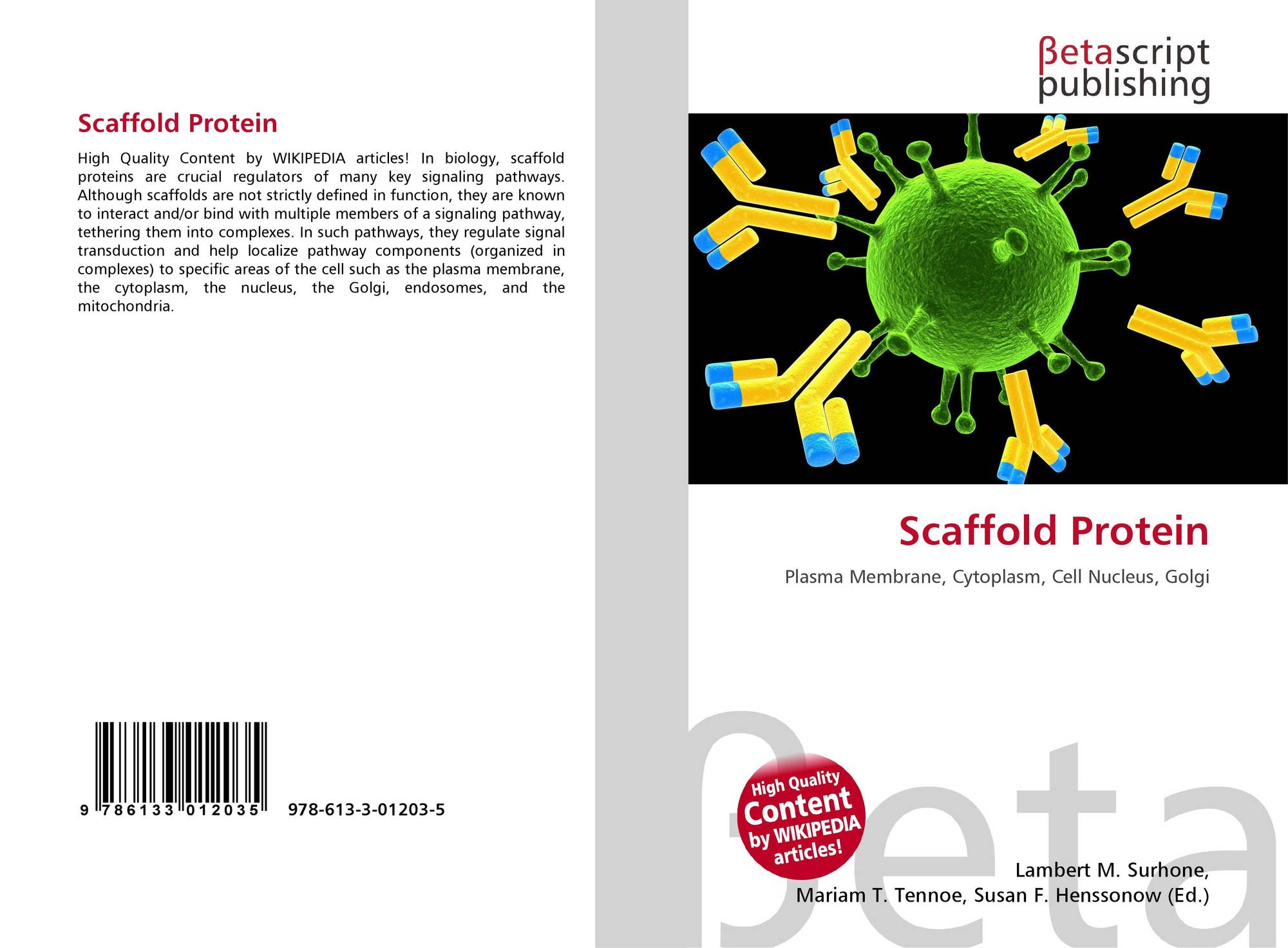 scaffold protein in cascades