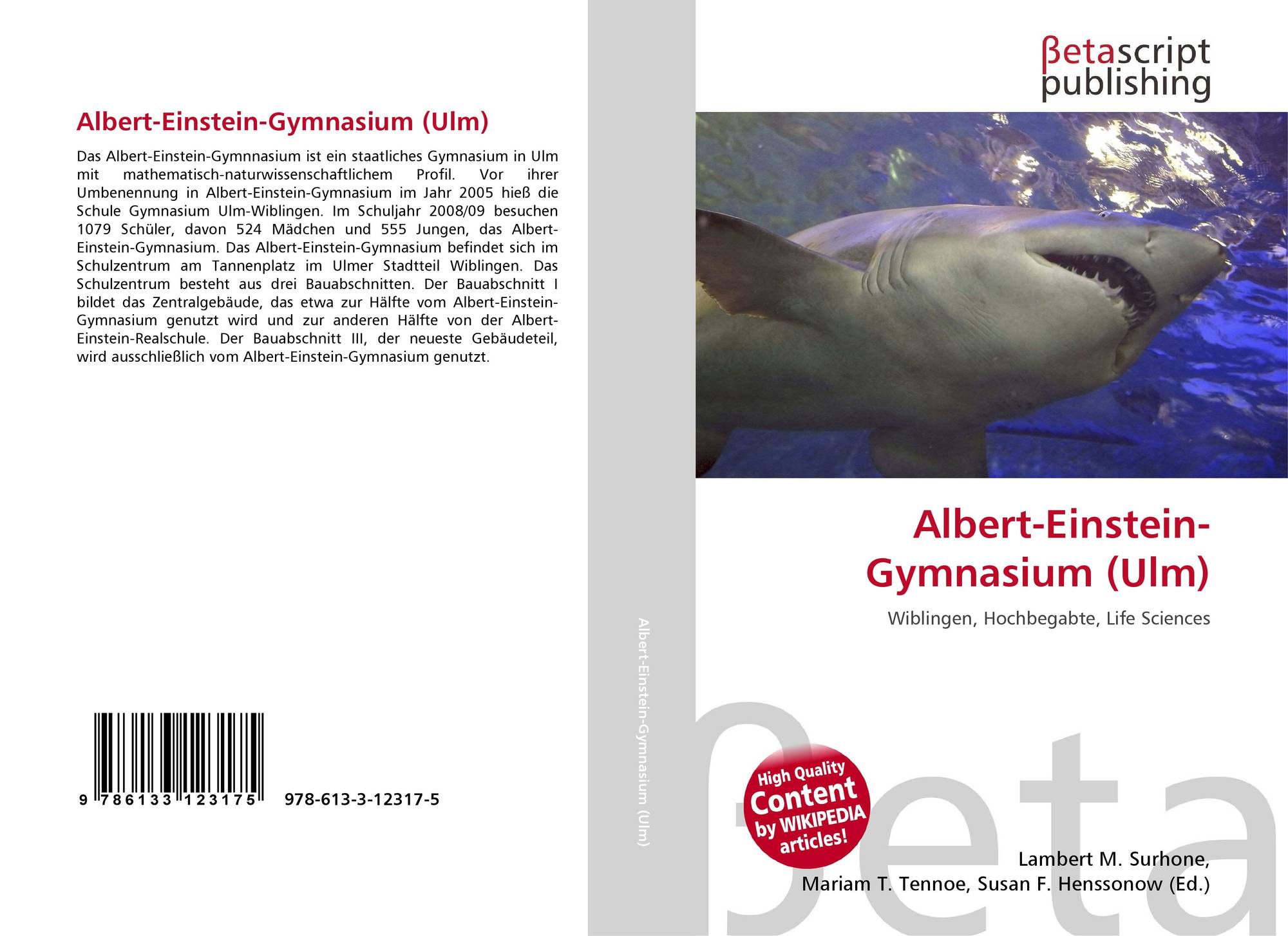 Albert einstein gymnasium ulm 978 613 3 12317 5 6133123176