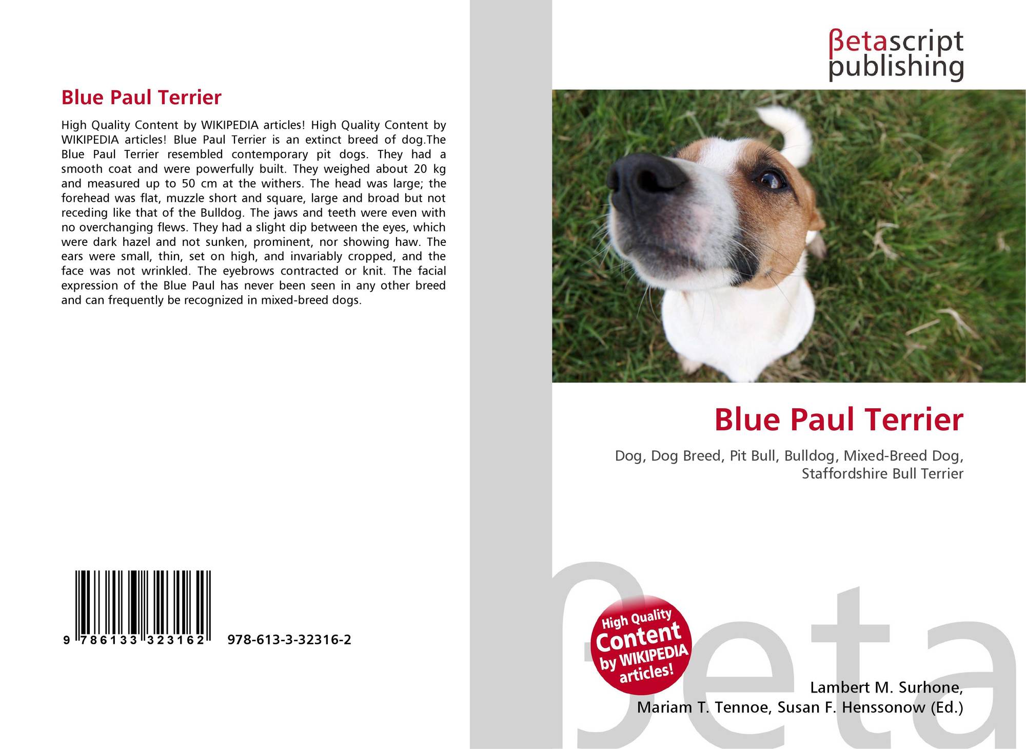 Blue Paul Terrier 978 613 3 32316 2 6133323167 9786133323162
