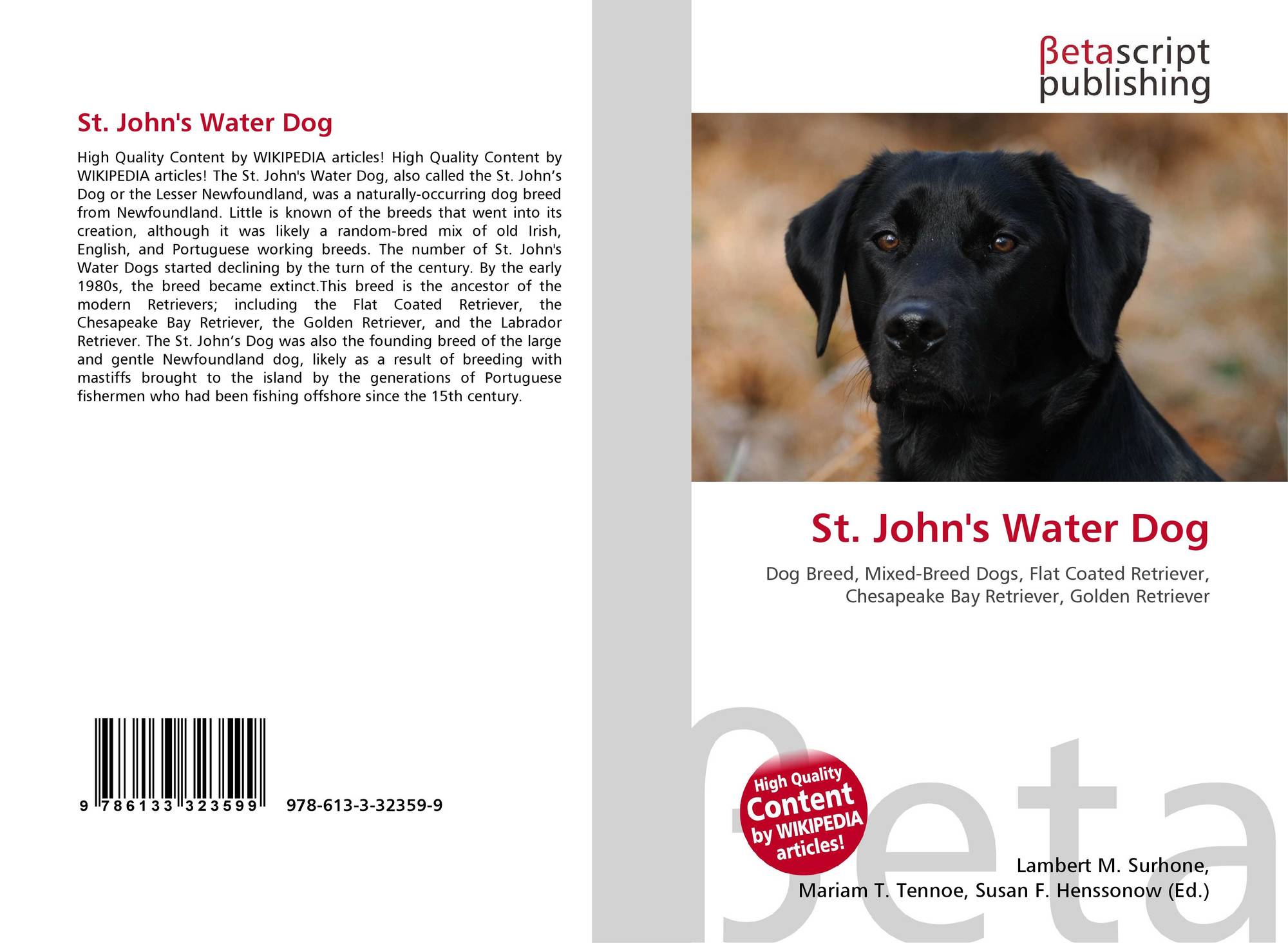 St John S Water Dog 978 613 3 32359 9 6133323590 9786133323599