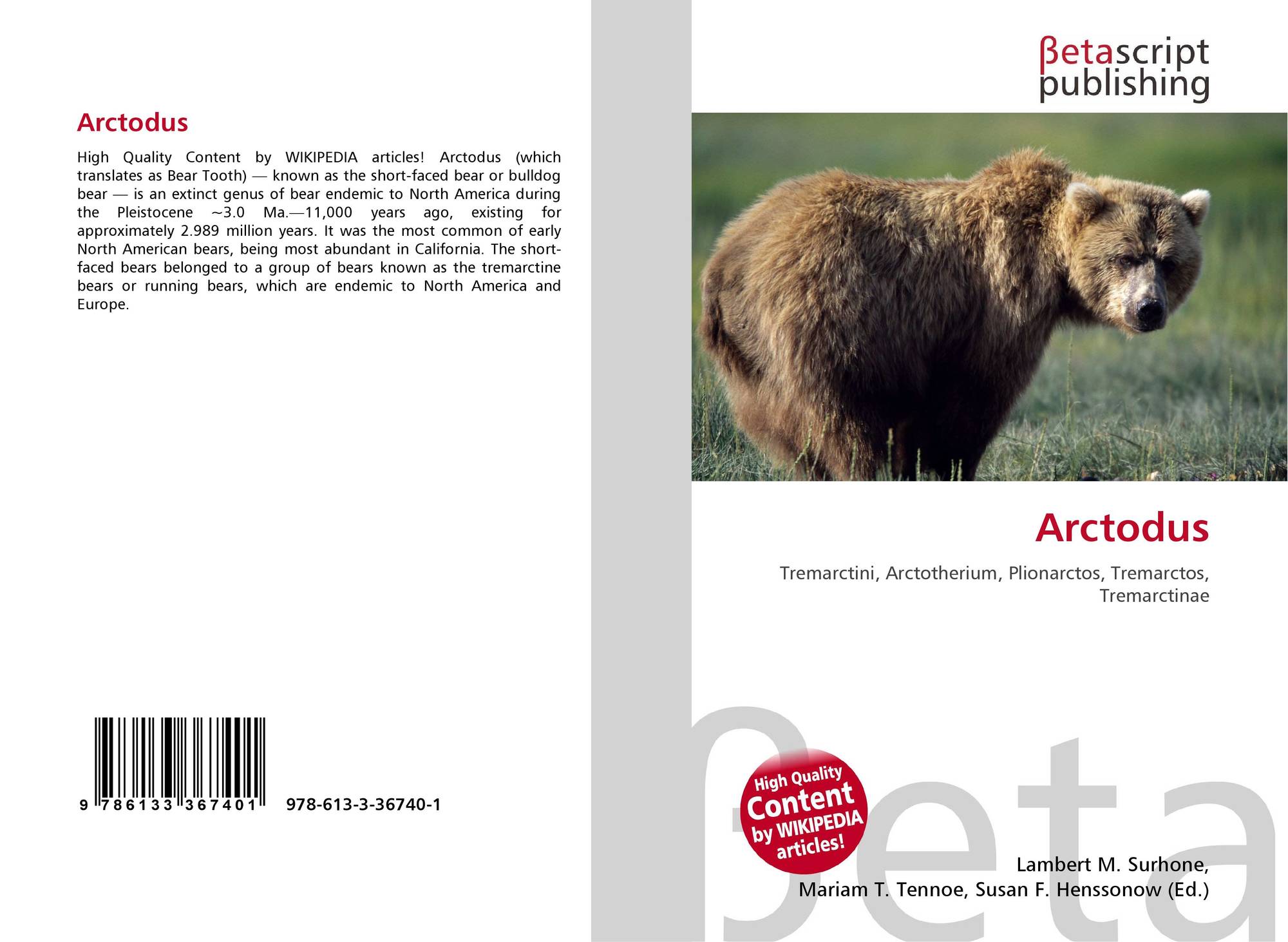 Bear bore перевод. Ursus Etruscus. Перевод the Kamchatka Brown Bear is. Plionarctos. Kolponomos newportensis.