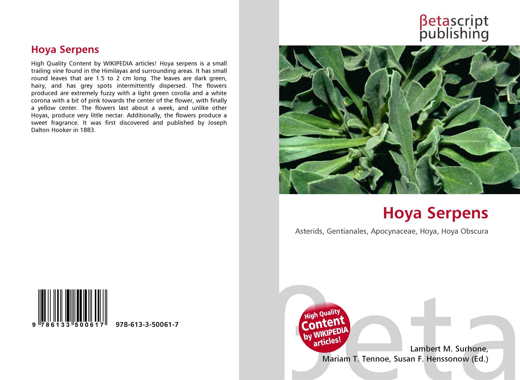 Hoya Serpens 978 613 3 7