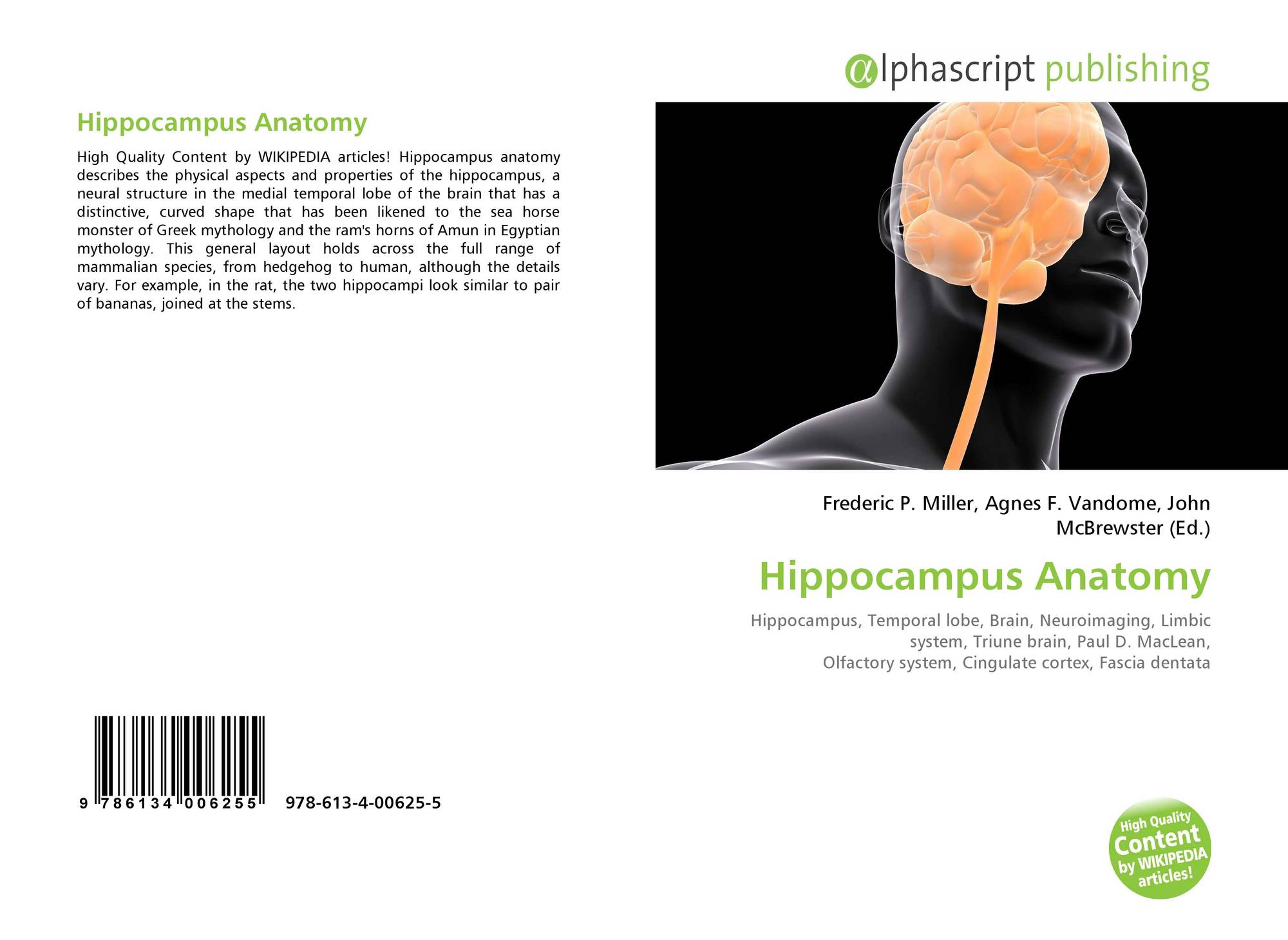 hippocampus anatomy brain model