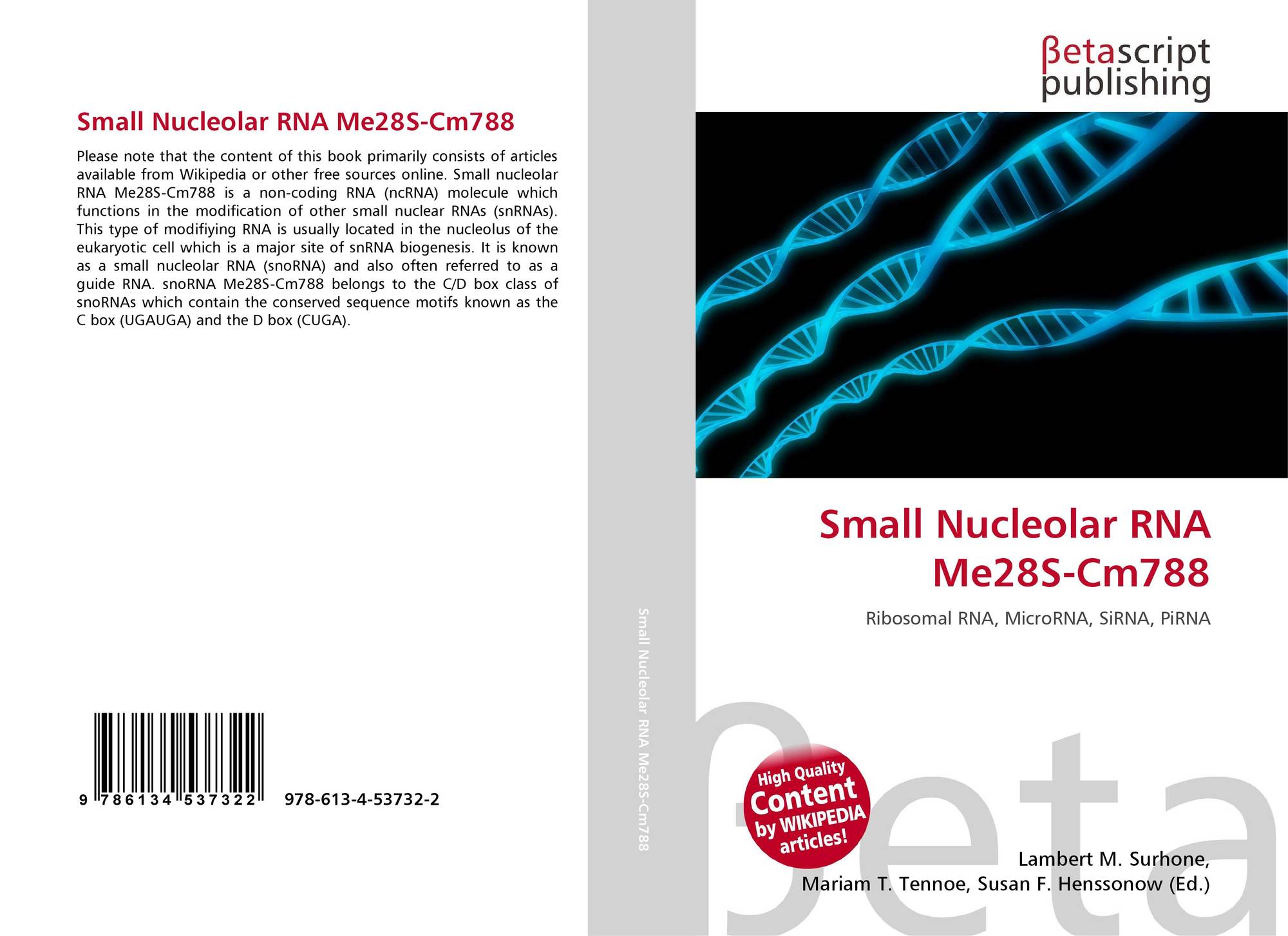 Small Nucleolar RNA Me28S-Cm788, 978 