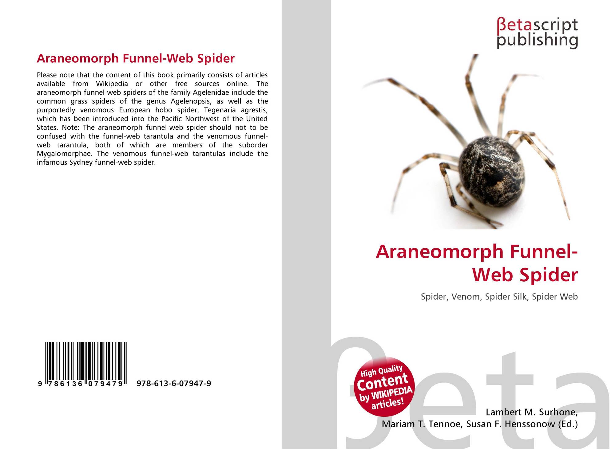 Araneomorph Funnel Web Spider 978 613 6 9 x