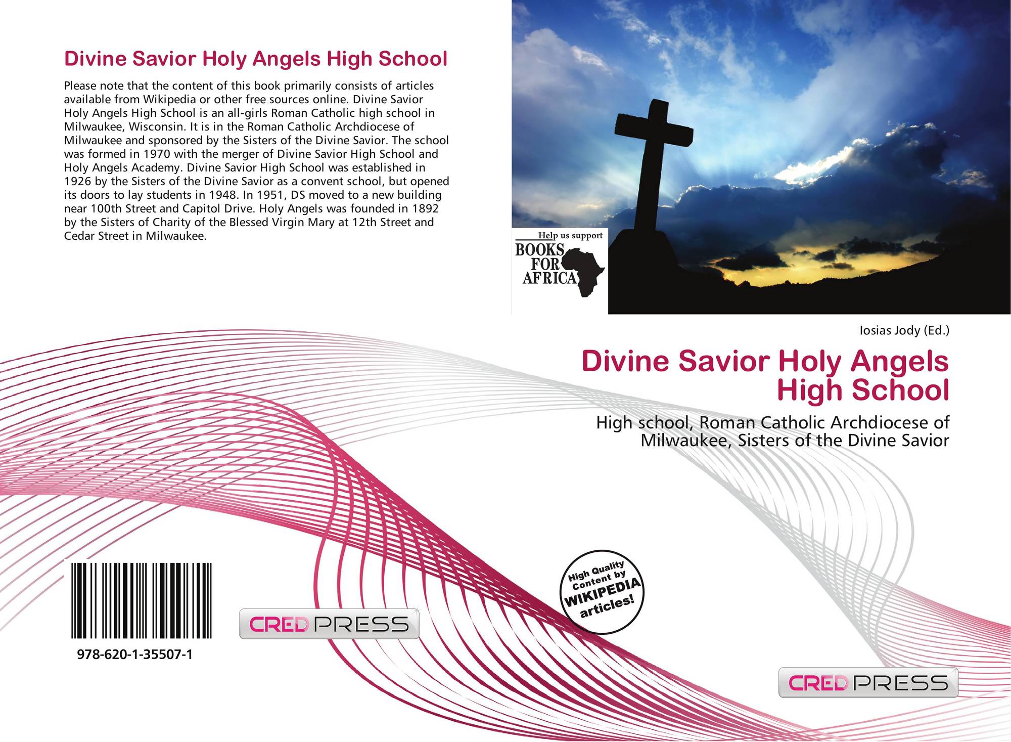 Divine academy. Divine Savior Holy Angels High School. Holy Redeemer Hospital. Looking for a Savior.