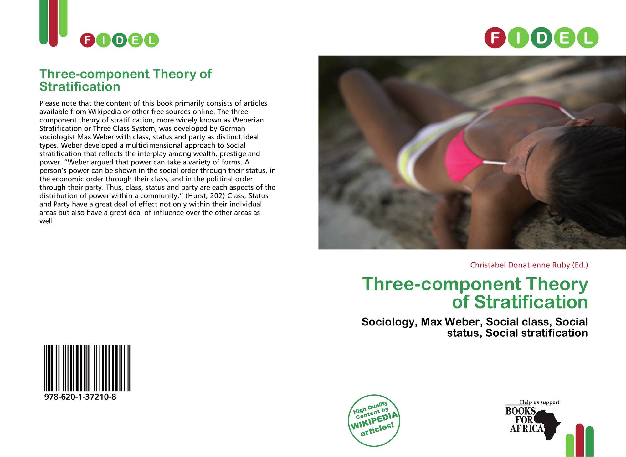 Three Component Theory Of Stratification 978 620 1 37210 8 6201372105 9786201372108