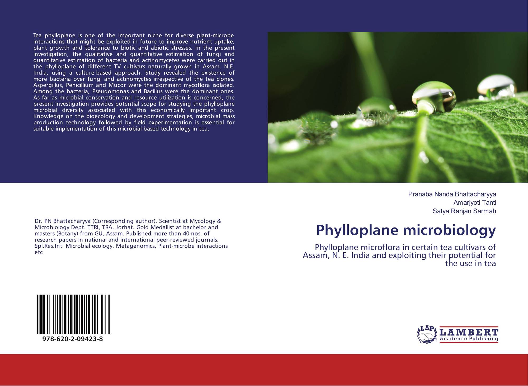 the investigation of microbial diversity in Investigation of the microbial ecology of intertidal hot springs by using diversity analysis of 16s rrna and chitinase genes. the investigation of microbial diversity in Investigation of the microbial ecology of intertidal hot springs by using diversity analysis of 16s rrna and chitinase genes.