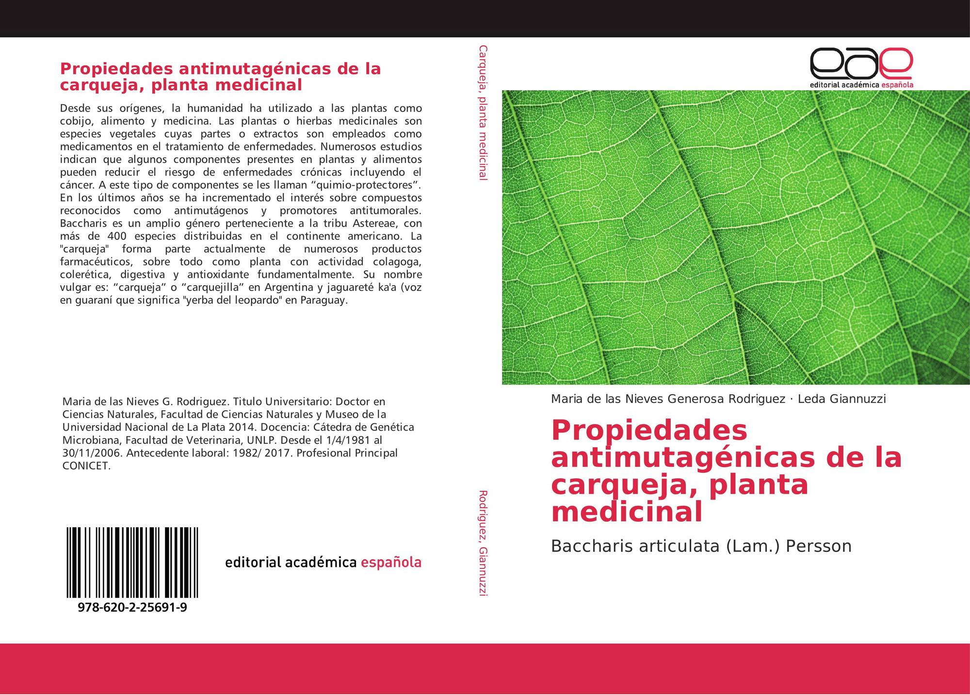 Propiedades Antimutagenicas De La Carqueja Planta Medicinal 978