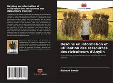 Besoins en information et utilisation des ressources des riziculteurs d'Anyiin kitap kapağı
