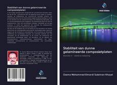 Bookcover of Stabiliteit van dunne gelamineerde composietplaten