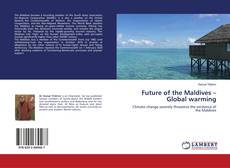 Buchcover von Future of the Maldives – Global warming