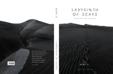 Borítókép a  Labyrinth of Scars - hoz