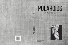 Bookcover of POLAROIDS