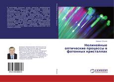 Buchcover von Нелинейные оптические процессы в фотонных кристаллах