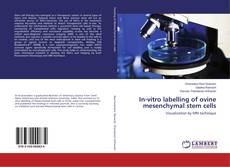 Capa do livro de In-vitro labelling of ovine mesenchymal stem cells 