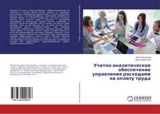 Copertina di Учетно-аналитическое обеспечение управления расходами на оплату труда