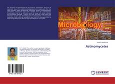 Copertina di Actinomycetes