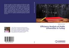 Borítókép a  Efficiency Analysis of Public Universities in Turkey - hoz