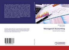 Borítókép a  Managerial Accounting - hoz