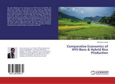 Capa do livro de Comparative Economics of HYV-Boro & Hybrid Rice Production 