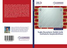 Tuğla Duvarların Delikli Çelik Levhalarla Güçlendirilmesi kitap kapağı