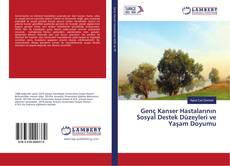 Bookcover of Genç Kanser Hastalarının Sosyal Destek Düzeyleri ve Yaşam Doyumu