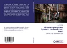 Bookcover of Revitalizing Forgotten Spaces in the Downtown Areas