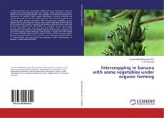 Intercropping in banana with some vegetables under organic farming的封面