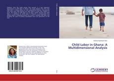Обложка Child Labor in Ghana: A Multidimensional Analysis