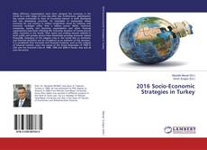 Buchcover von 2016 Socio-Economic Strategies in Turkey