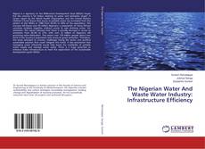 The Nigerian Water And Waste Water Industry: Infrastructure Efficiency的封面