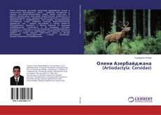 Олени Азербайджана (Artiodactyla: Cervidae)的封面