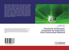 Bookcover of Treatment of Domestic Greywater by Subsurface Flow Constructed Wetland