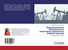 Buchcover von Промышленная безопасность некоторых критичных инфраструктур