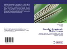 Couverture de Boundary Detection in Medical Images