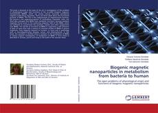 Copertina di Biogenic magnetic nanoparticles in metabolism from bacteria to human