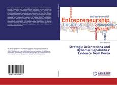 Copertina di Strategic Orientations and Dynamic Capabilities: Evidence from Korea
