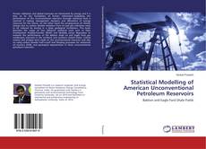 Buchcover von Statistical Modelling of American Unconventional Petroleum Reservoirs